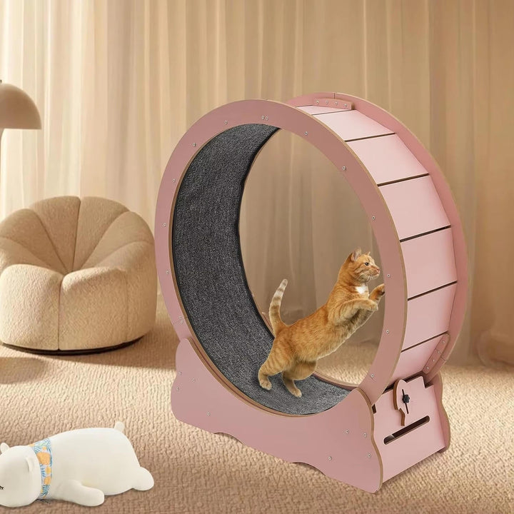 Cat Fitness Wheel for Indoor Play and Exercise