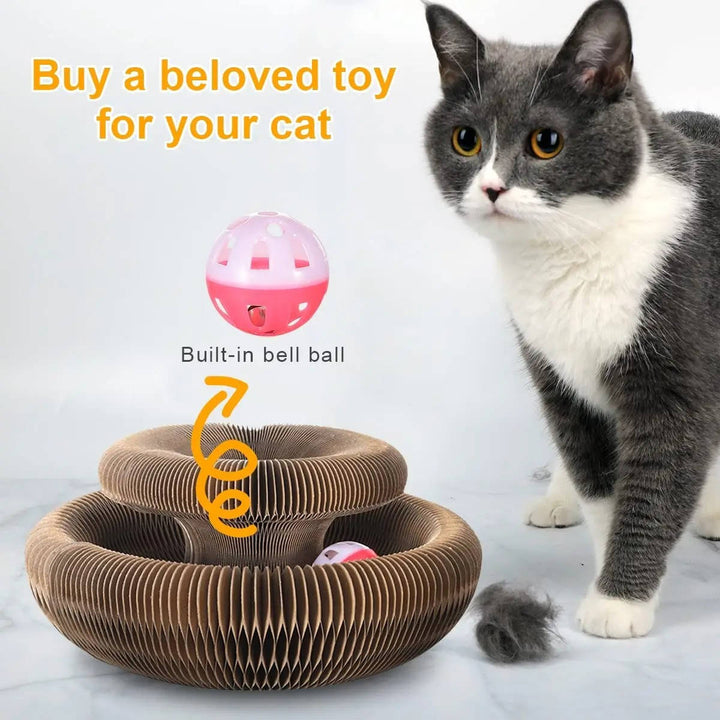 Cat Scratcher with Interactive Ball Track Toy
