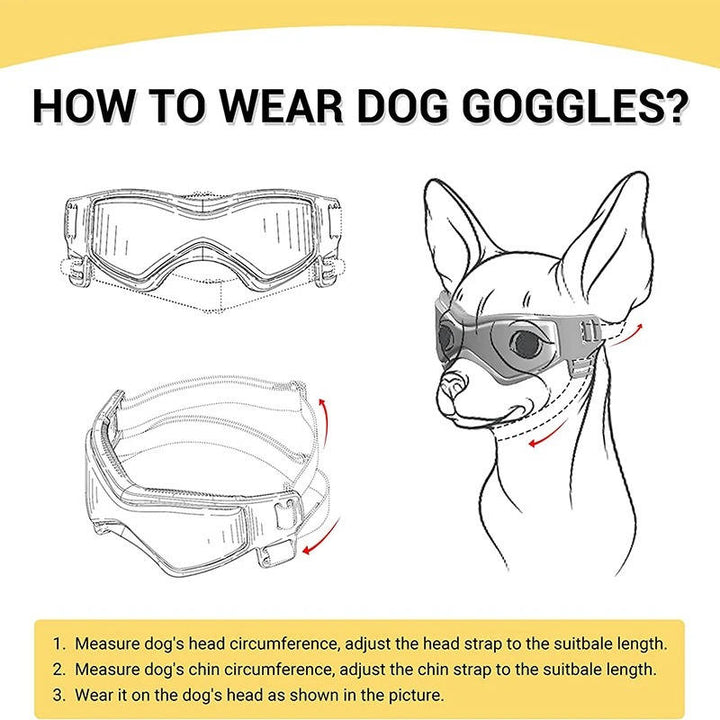 Protective Dog Goggles for UV Eye Safety and Outdoor Adventures