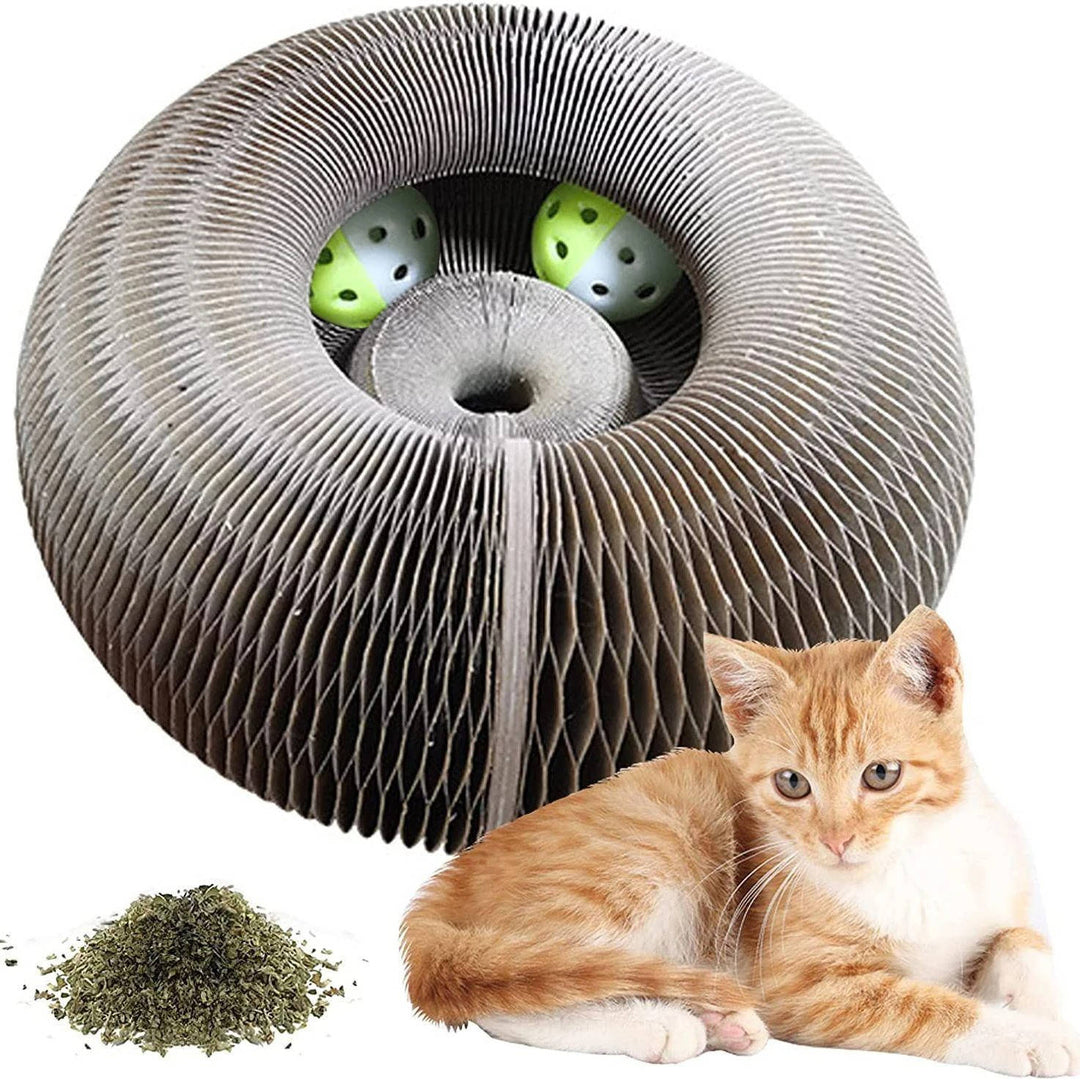 Cat Scratcher with Interactive Ball Track Toy