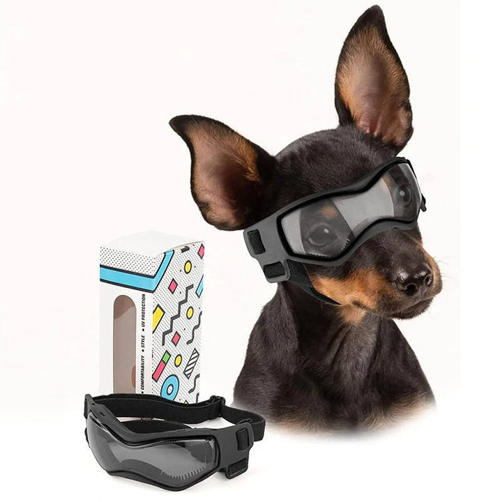 Protective Dog Goggles for UV Eye Safety and Outdoor Adventures