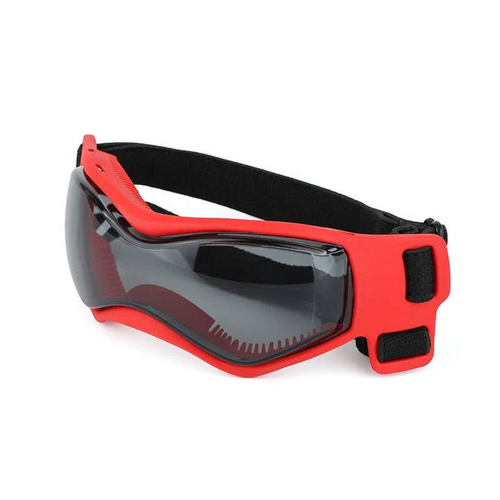 Protective Dog Goggles for UV Eye Safety and Outdoor Adventures