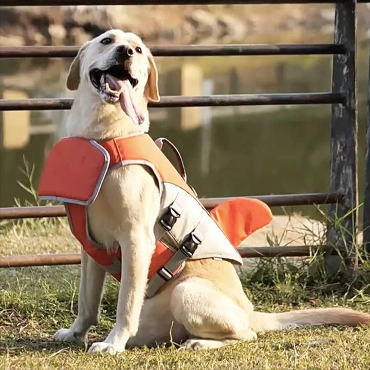 Dog Life Jacket for Safe Water Adventures