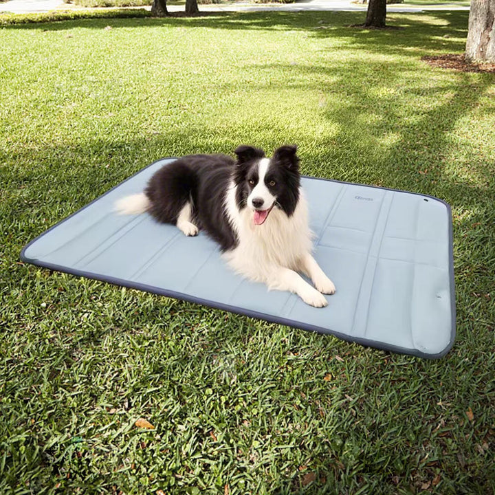 Travel-Friendly Dog Carrier Bag