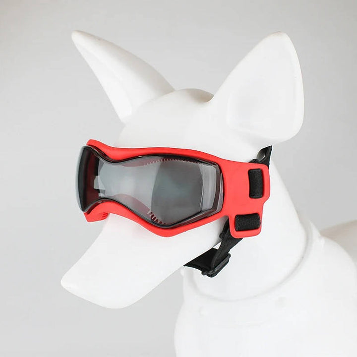 Protective Dog Goggles for UV Eye Safety and Outdoor Adventures