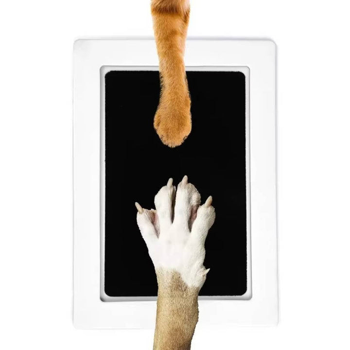 Pet Paw Print Keepsake Kit
