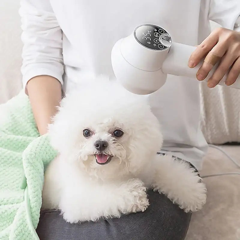 2-in-1 Smart Pet Hair Dryer for Quick Drying and Grooming