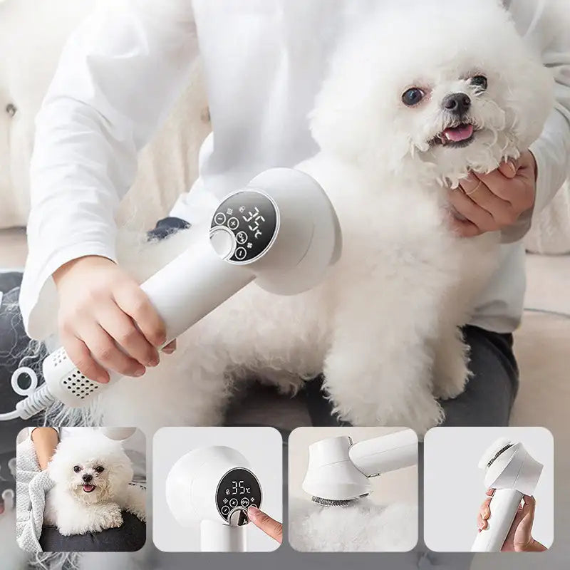 2-in-1 Smart Pet Hair Dryer for Quick Drying and Grooming