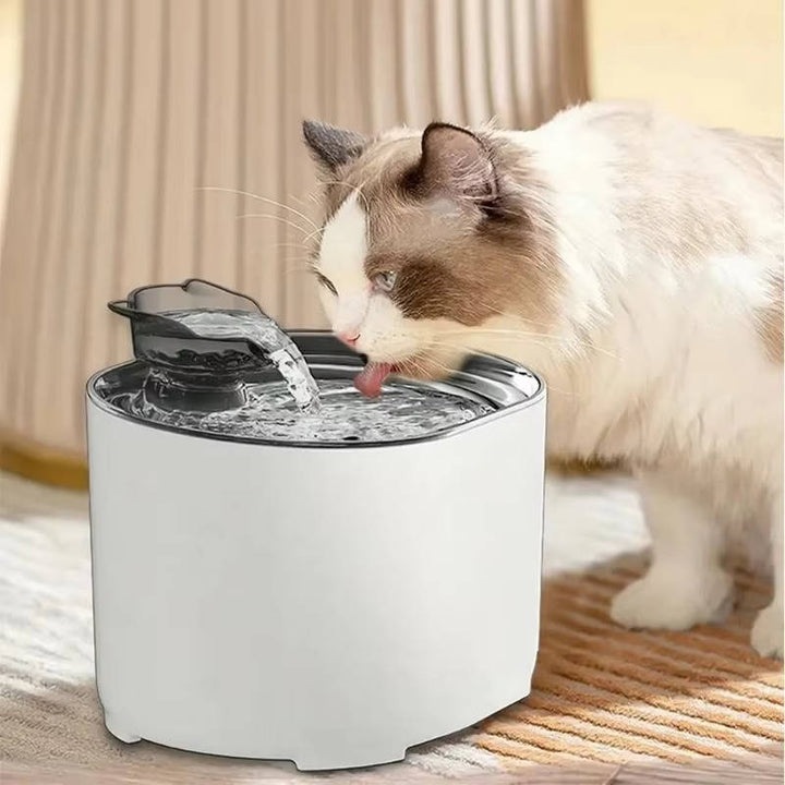 Automatic Cat Water Dispenser for Fresh Drinking Water