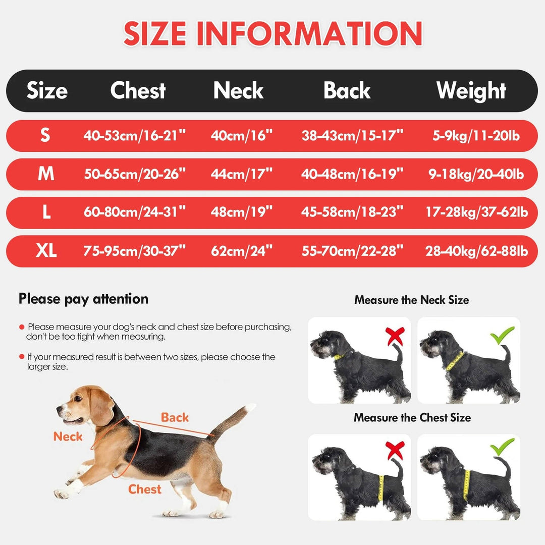 Dog Life Jacket for Safe Water Adventures