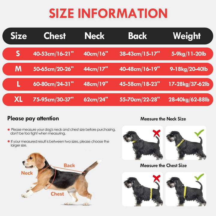 Dog Life Jacket for Safe Water Adventures