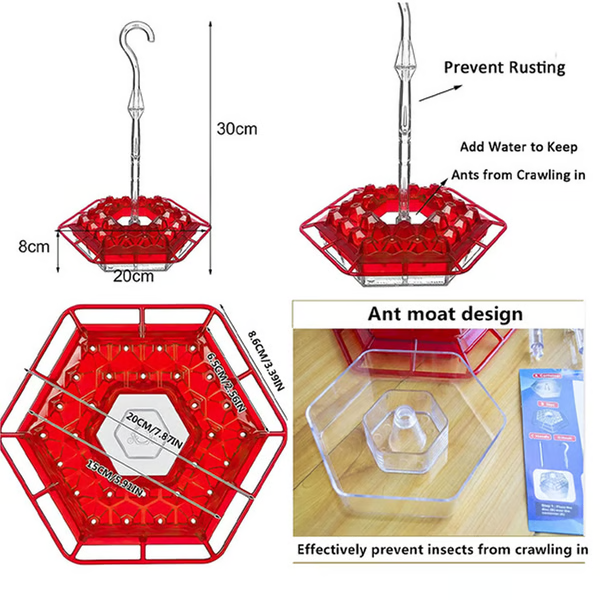 Ant-Proof Hummingbird Feeder with Integrated Moat