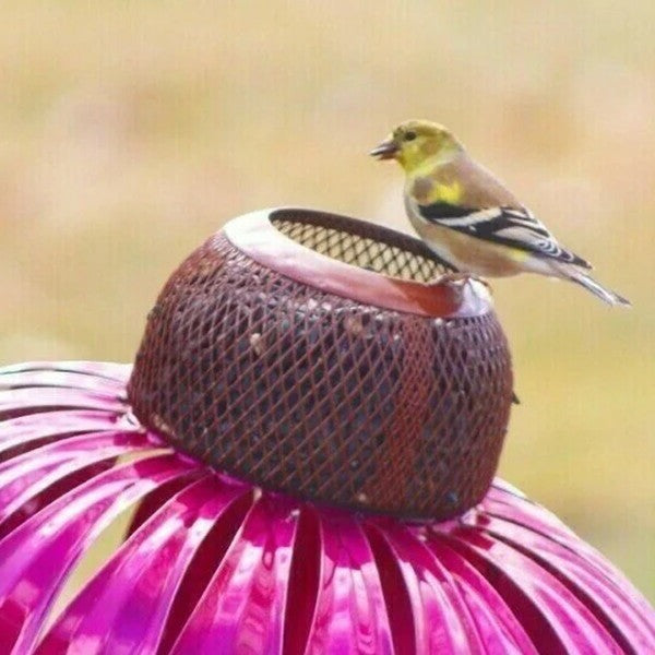 SEO Title: Coneflower-Shaped Bird Feeder for Backyard Birdwatching