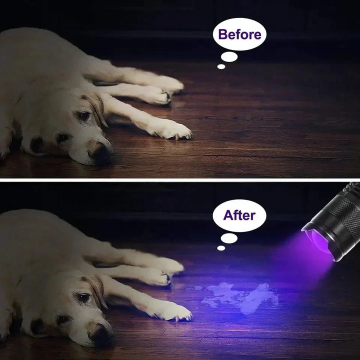 LED UV Flashlight - Ultraviolet Inspection Lamp for Pet Urine Detection-Orizon Depot