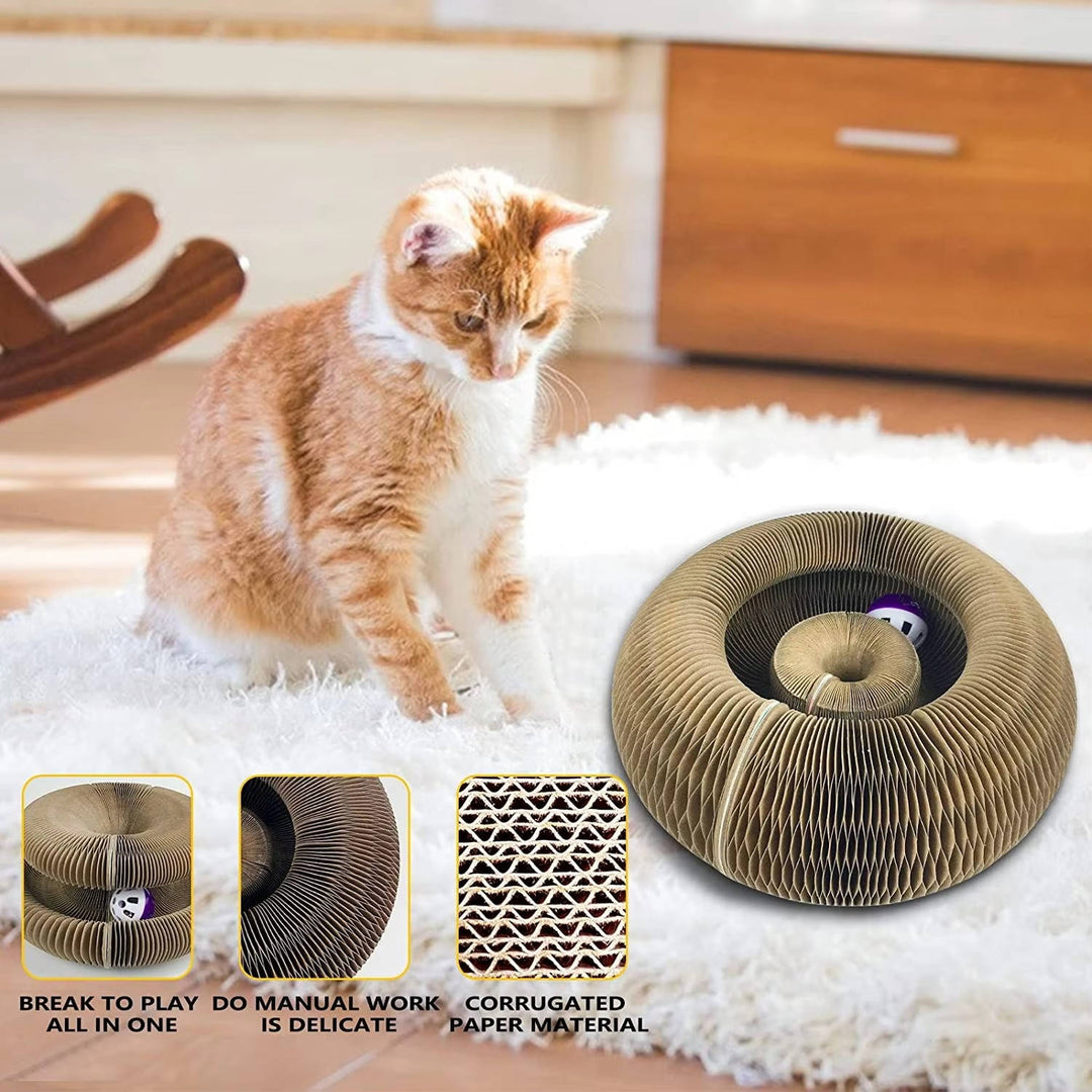 Cat Scratcher with Interactive Ball Track Toy