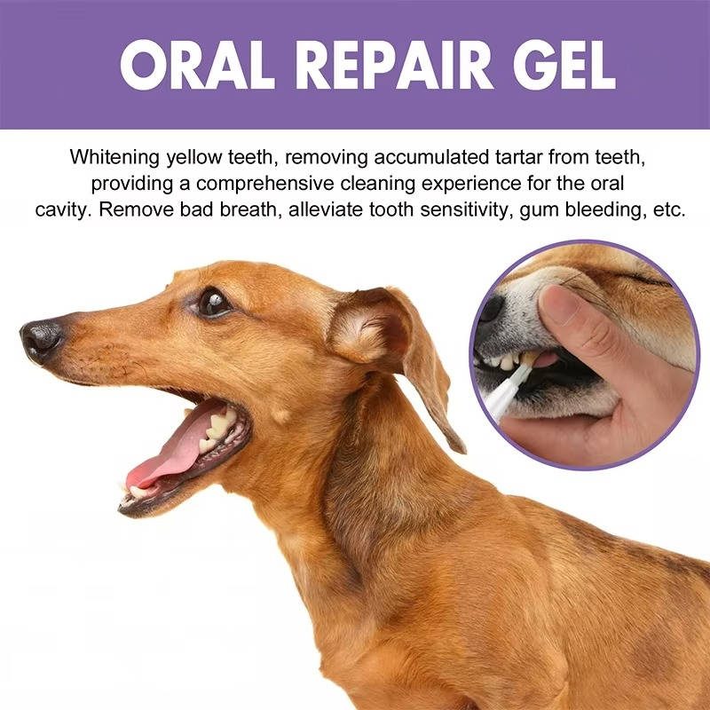 Dog Oral Repair Gel - 3 Pack for Healthy Teeth and Gums