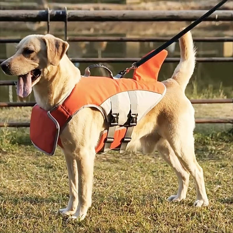 Dog Life Jacket for Safe Water Adventures