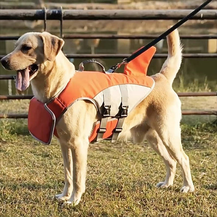 Dog Life Jacket for Safe Water Adventures