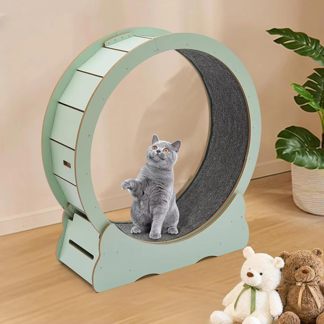 Cat Fitness Wheel for Indoor Play and Exercise