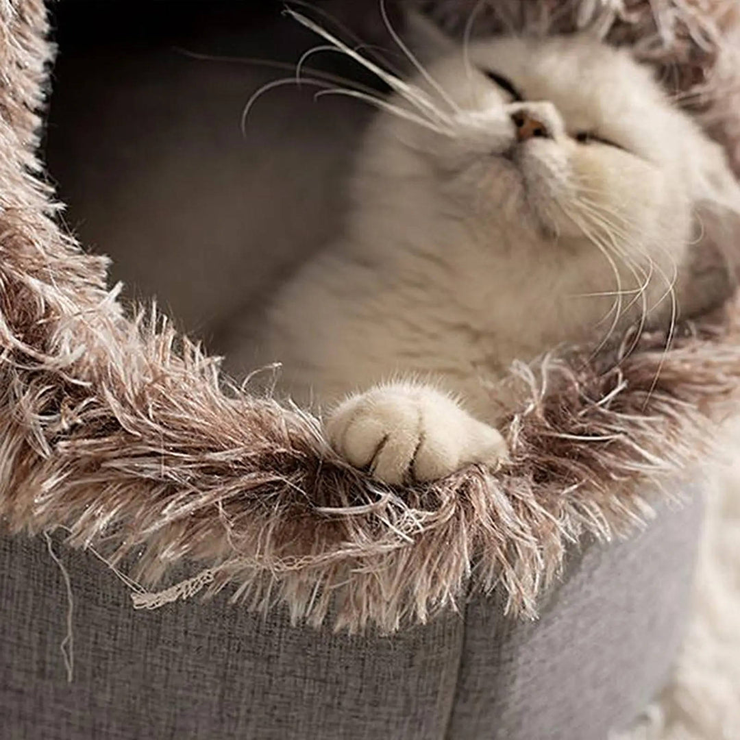 Cozy Winter Cat Bed for Ultimate Comfort and Warmth