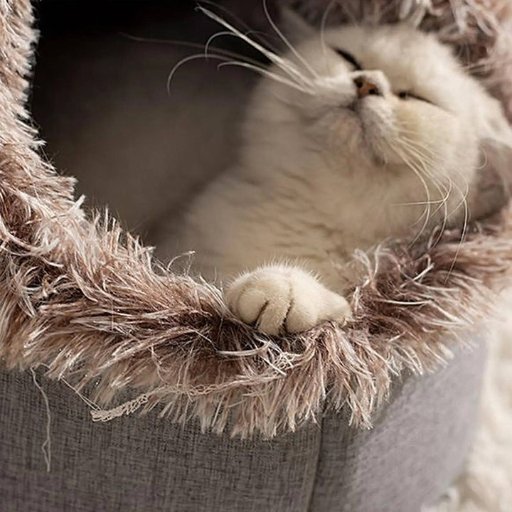 Cozy Winter Cat Bed for Ultimate Comfort and Warmth