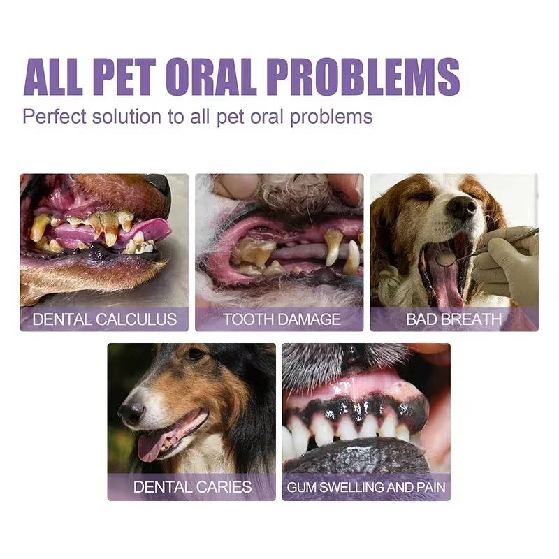 Dog Oral Repair Gel - 3 Pack for Healthy Teeth and Gums