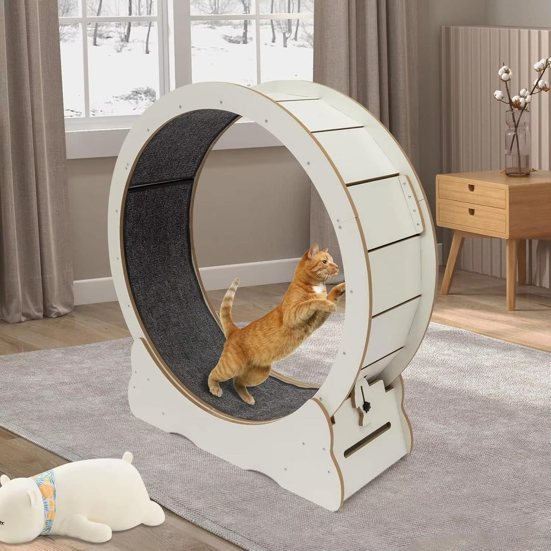 Cat Fitness Wheel for Indoor Play and Exercise