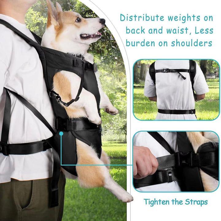 Pet Carrier Backpack for Dogs - Comfortable and Convenient Travel