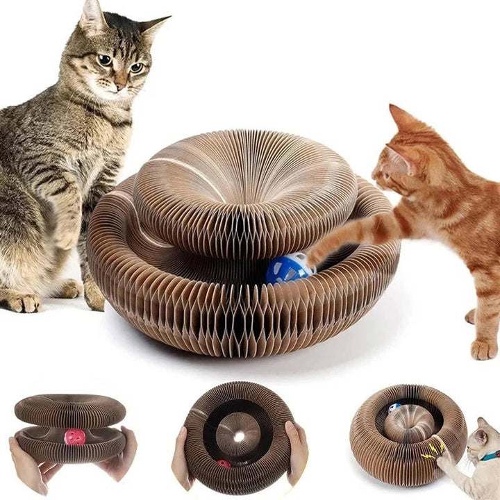 Cat Scratcher with Interactive Ball Track Toy