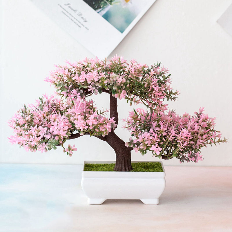 SEO Title: Plant Bonsai for Home Decor and Indoor Gardening-Orizon Depot