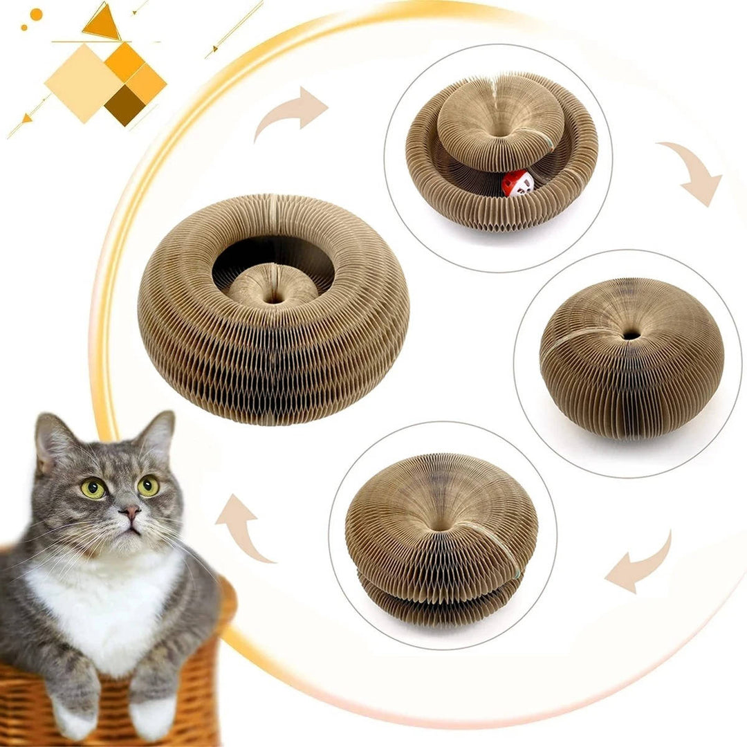 Cat Scratcher with Interactive Ball Track Toy