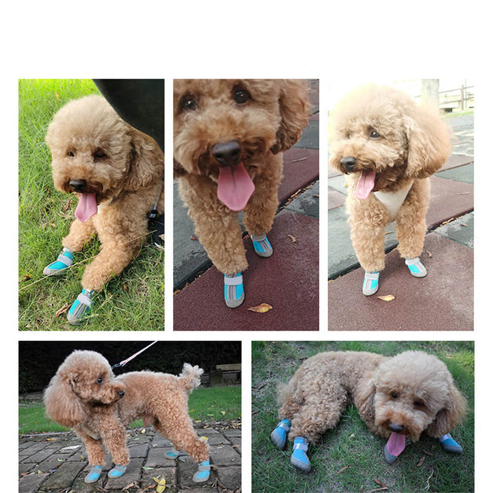 Durable Outdoor Dog Shoes with Mesh - All-Terrain Paw Protection-Orizon Depot