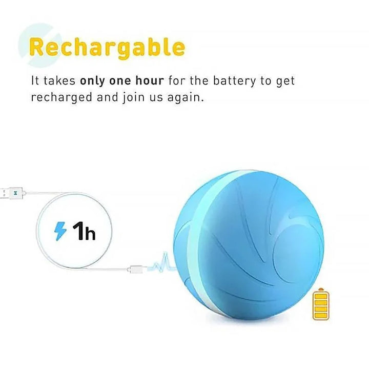 Interactive Pet Motion Toy for Engaging Playtime