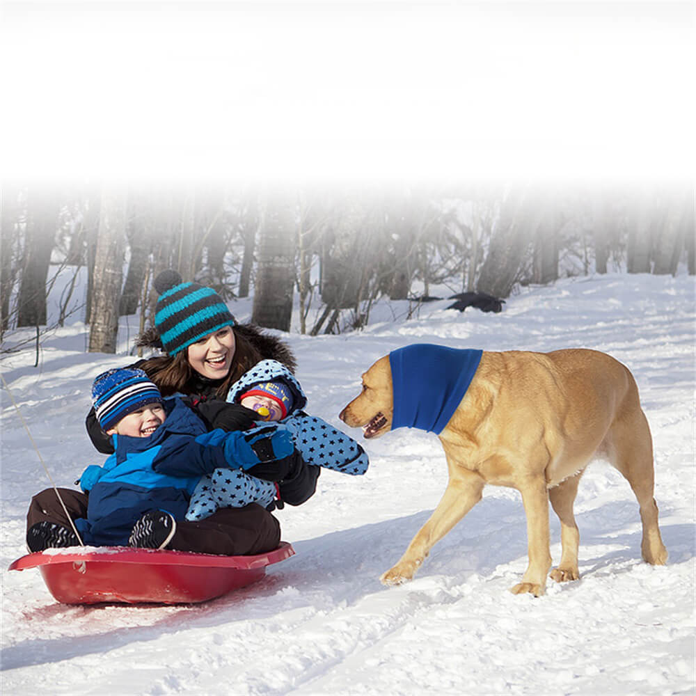 Dog Soothing Headband for Pets - Comfortable and Relaxing Wear-Orizon Depot