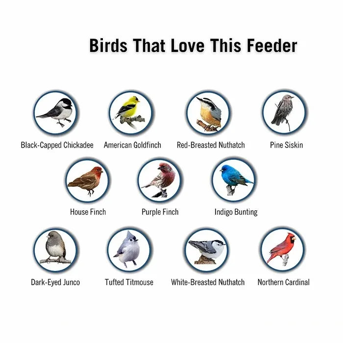 Squirrel-Resistant Bird Feeder for Backyard Wildlife