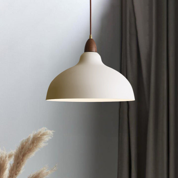 Modern Nordic Interior Pendant Lamp-Orizon Depot