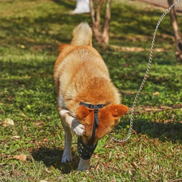 Adjustable Dog Muzzle for Safe and Comfortable Pet Training-Orizon Depot
