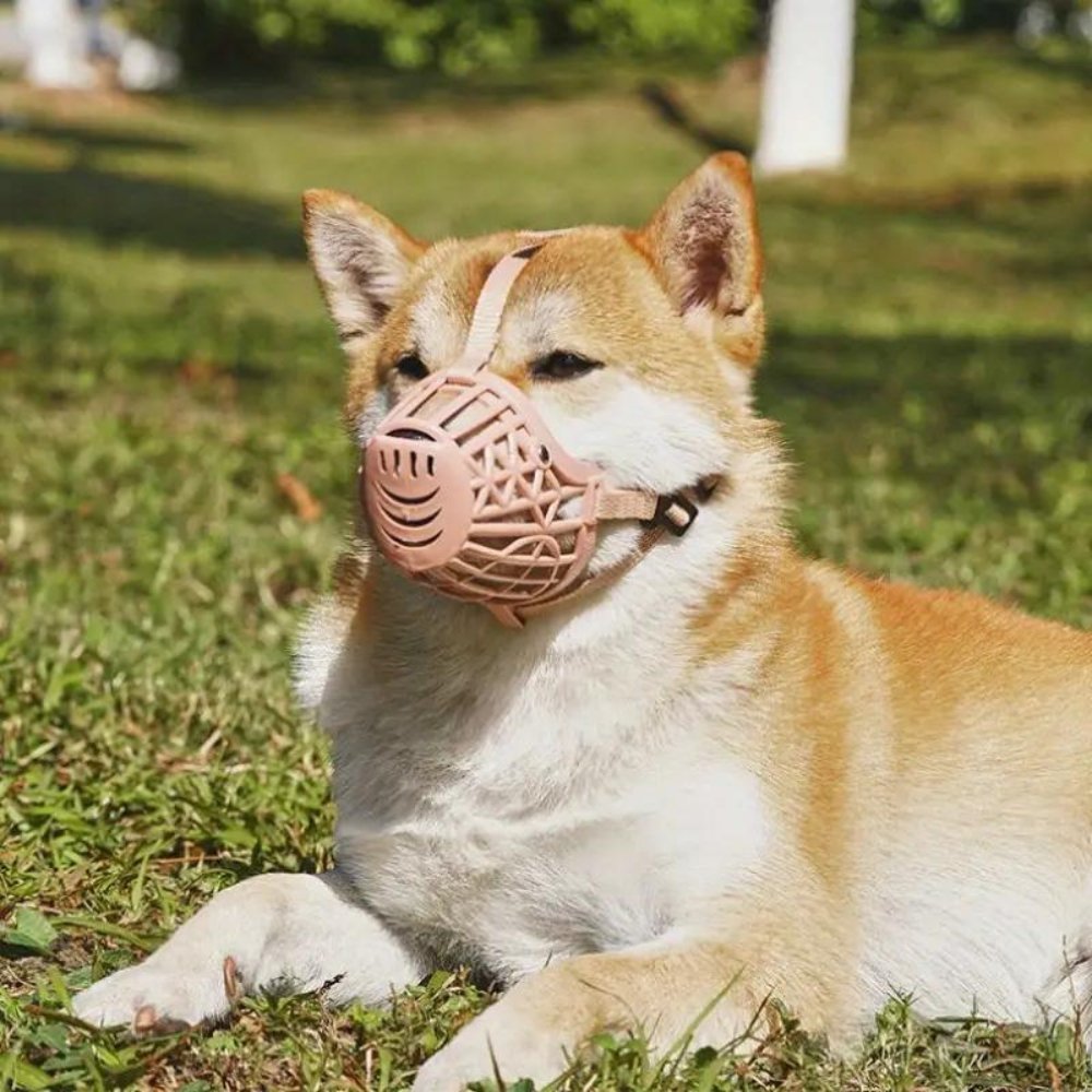 Adjustable Dog Muzzle for Safe and Comfortable Pet Training-Orizon Depot