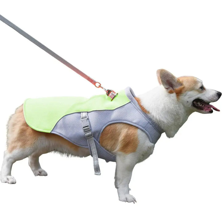 Dog Cooling Vest for Summer Outdoor Adventures