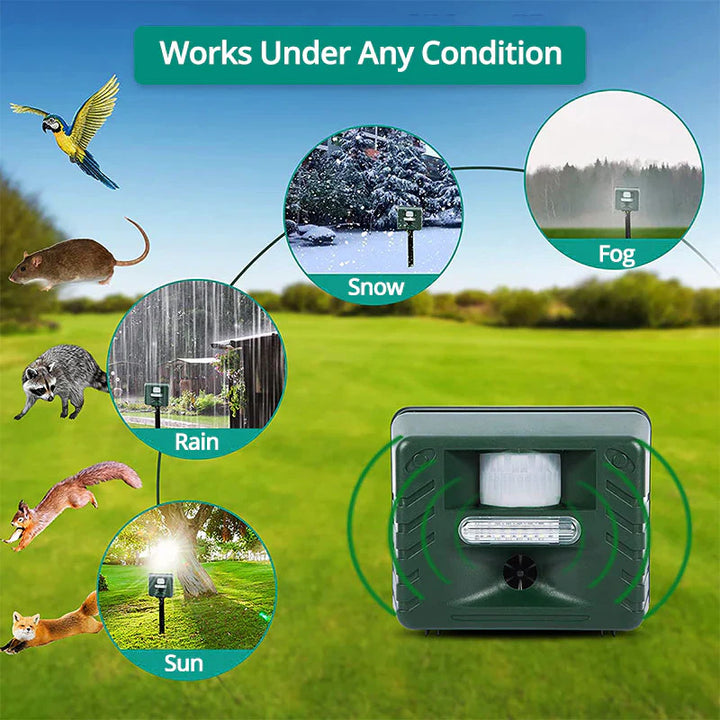 Ultrasonic Pest Repeller for Effective Rodent Control