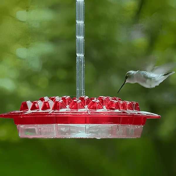 Ant-Proof Hummingbird Feeder with Integrated Moat