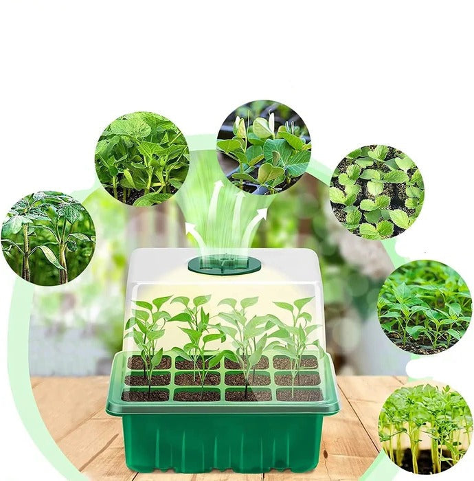 Nursery Plant Starter Tray with Grow Light and Lamp for Home Use