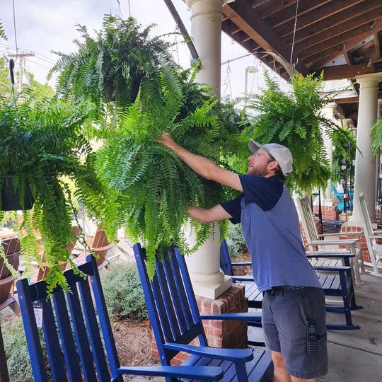UV-Resistant Realistic Artificial Boston Fern for Outdoor Decor