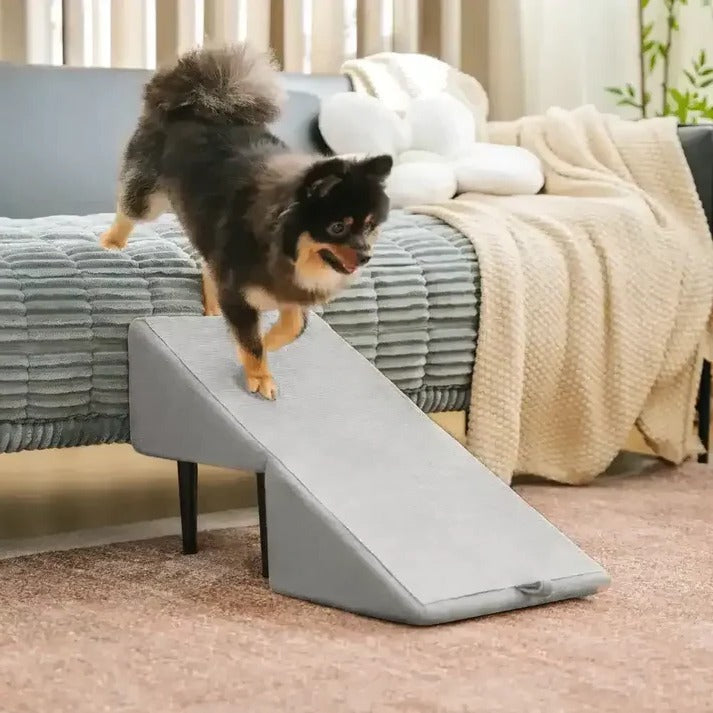 2-in-1 Dog Ramp and Step Stool for Easy Pet Access