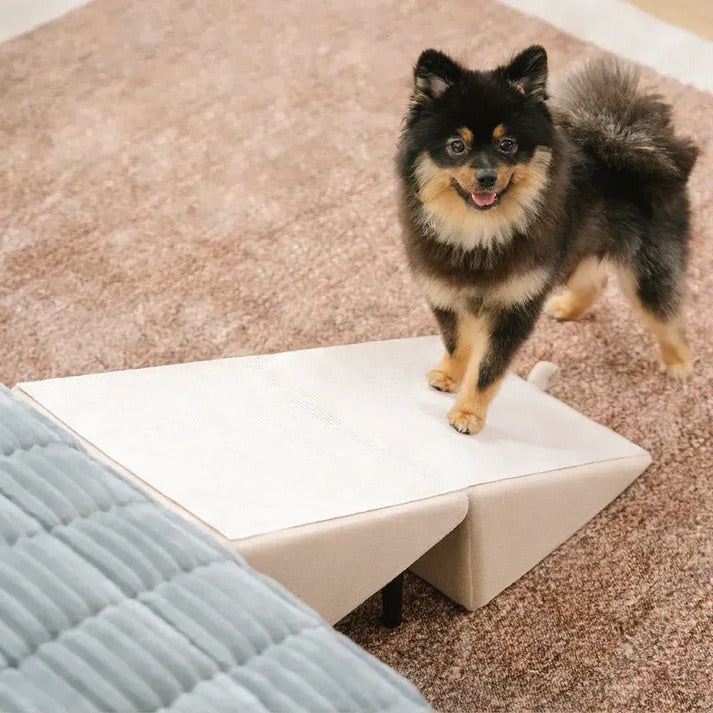 2-in-1 Dog Ramp and Step Stool for Easy Pet Access