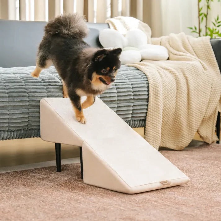 2-in-1 Dog Ramp and Step Stool for Easy Pet Access