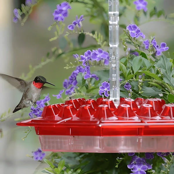 Ant-Proof Hummingbird Feeder with Integrated Moat
