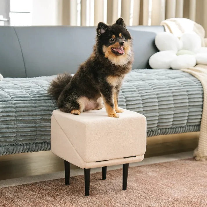 2-in-1 Dog Ramp and Step Stool for Easy Pet Access