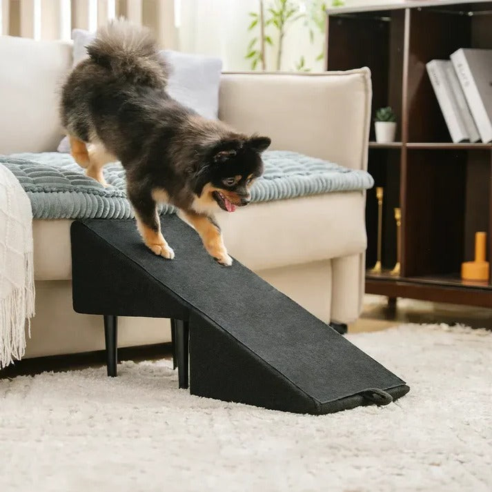 2-in-1 Dog Ramp and Step Stool for Easy Pet Access