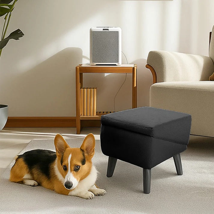2-in-1 Dog Ramp and Step Stool for Easy Pet Access